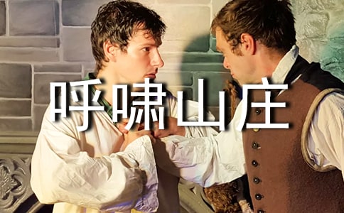 (必備)《呼嘯山莊》讀后感