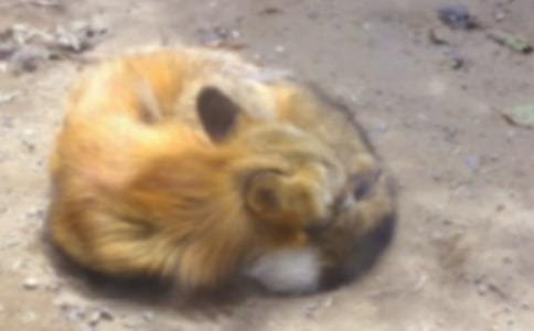 �˲���ĺ�؂�ְ��x���