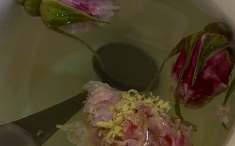 �𻨲�Ĺ�Ч�c���� �𻨲�ĸ�����