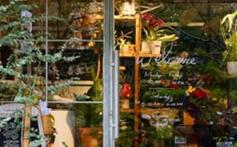 (精)花店創(chuàng)業(yè)計劃書