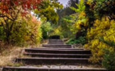 巨人的花園評課稿6篇【合集】