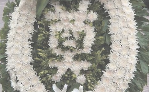 南京先烈祭奠有感