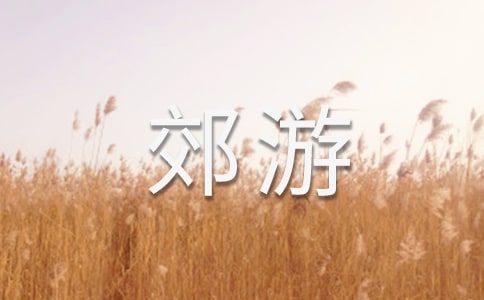【薦】郊游的作文