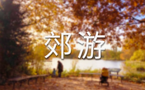 (精)關(guān)于郊游的作文