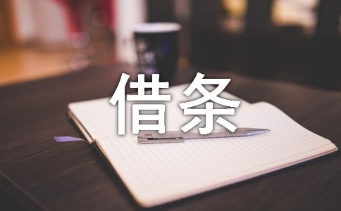 正規(guī)借條范文