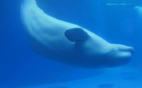 �L�~����������