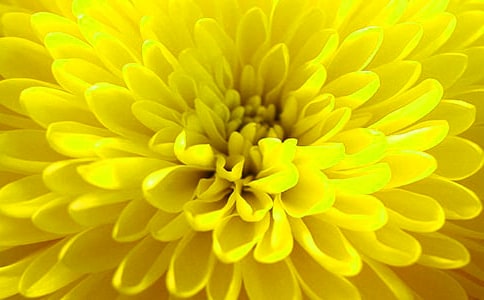 �茑�ջ�������3ƪ