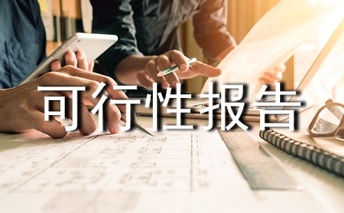 投資可行性報告范文