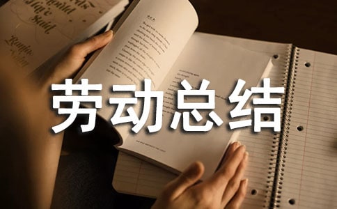 社會實踐勞動總結1200字