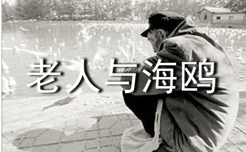 《老人與海鷗》讀后感15篇