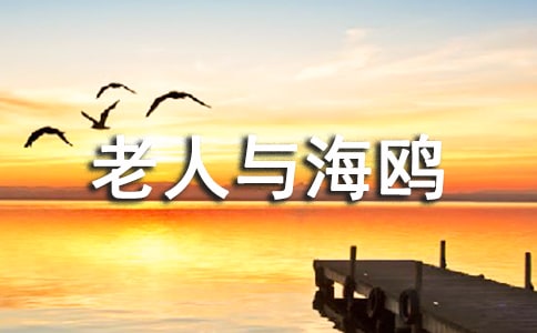 老人與海鷗課后反思