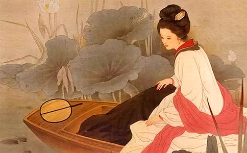 �c�{��������