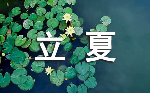 �㽭��������