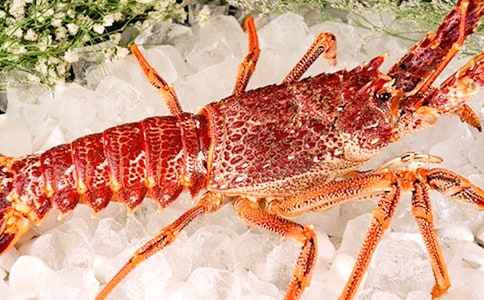 �����r����