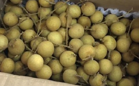 ���۵���Ҫ��Ч �������ʳ�ý���