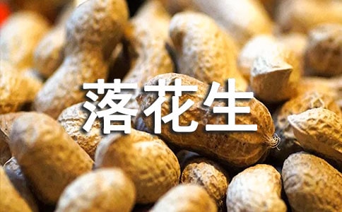 �仨���u�n��