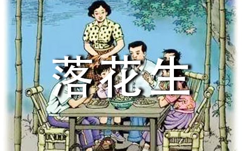 《落花生》評課稿