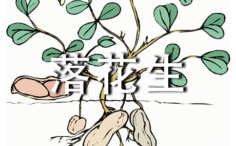 �仨���u�n�徫�x8ƪ