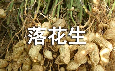 �仨���u�n�壨���\9ƪ��