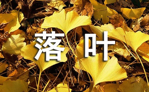 最后的落葉作文