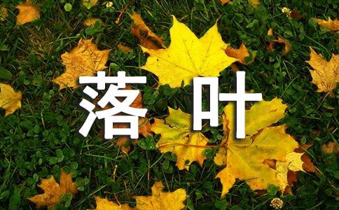 ��(y��u)�����ġ����~�Ć��¡�