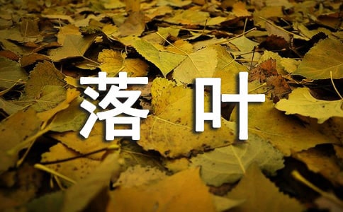 �а�ˇ�g�����~