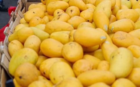 â���������[���x15ƪ]