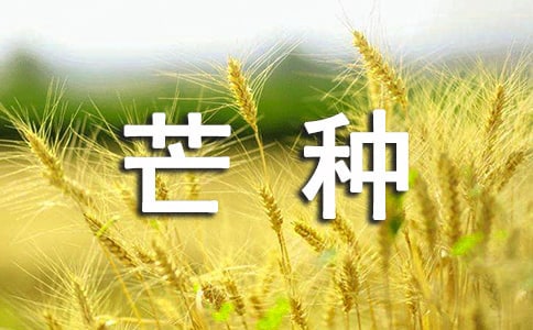 (推薦)芒種廣告文案4篇