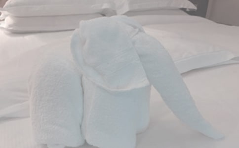 �����A�����۰Y--��ë�����۾���ʲô��̎