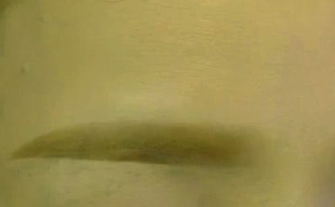 ���֮�üë�ļ��ɈD��