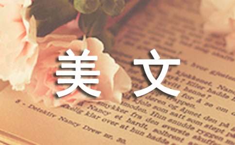 精美文章:像風一樣生活
