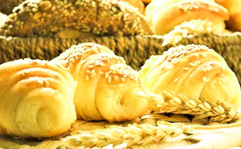 ����Ҭ����������������E