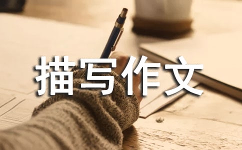 �������茑����600��