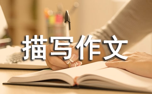 �������茑����(3ƪ)