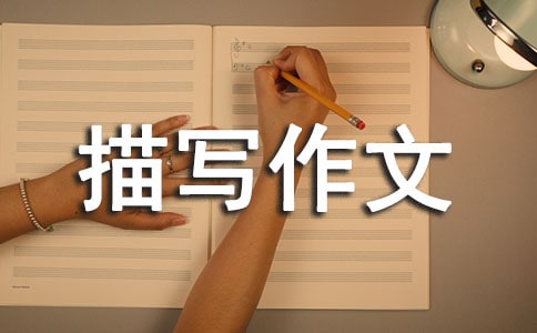[��]�������茑����
