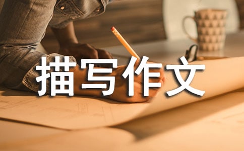 �������茑���ąR��6ƪ