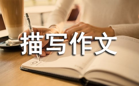 �������茑����[��]