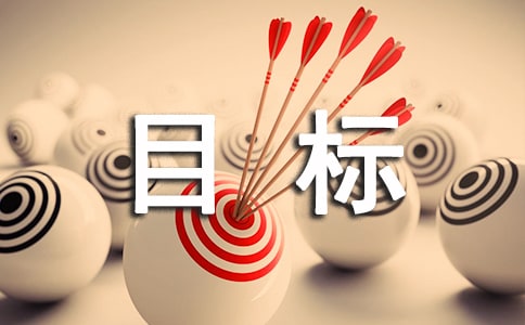 審計(jì)個人工作目標(biāo)和計(jì)劃優(yōu)質(zhì)