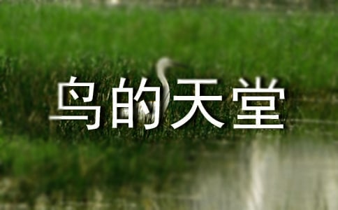 �B�������n��˼