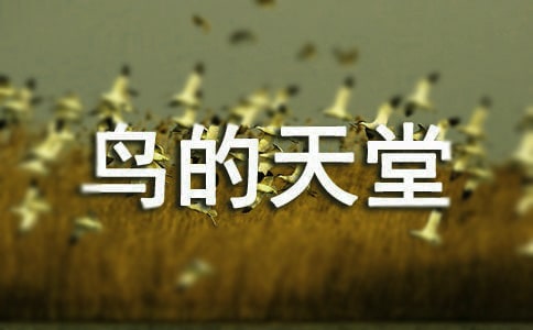 小學語文課文《鳥的天堂》優秀說課設計