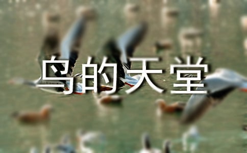 ���B�����á��u�n�壨ͨ��12ƪ��