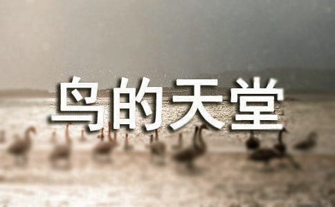《鳥的天堂》評課稿