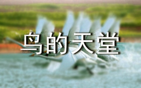 ���������B�����á��̌W(xu��)�O(sh��)Ӌ(j��)