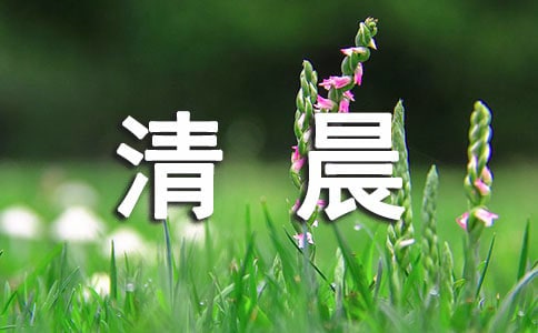 �l�g�峿����