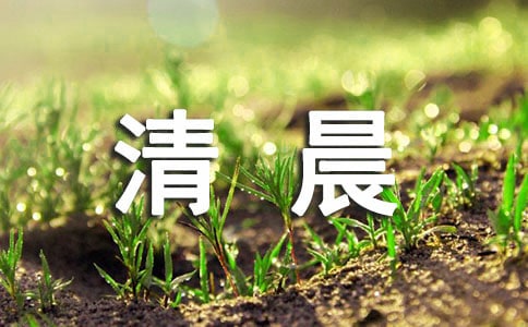 夏日的清晨作文(精選24篇)