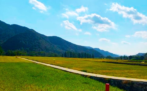 秋收助農(nóng)簡報(必備29篇)