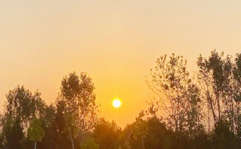 1��1�ճ�������ʲô����