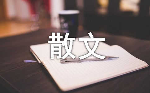 有關冬至節的散文隨筆