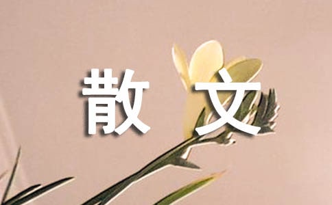������ɢ�ġ��؂�15ƪ��