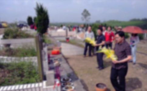 烈士陵園掃墓有感